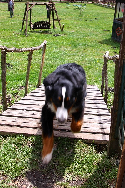 c0149178_9495064.jpg