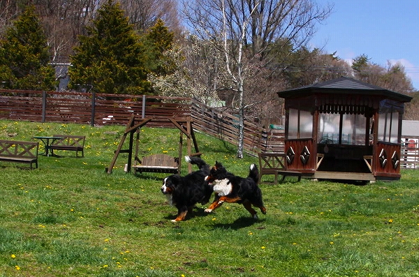 c0149178_991640.jpg