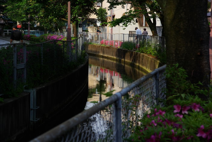 b0120979_155329.jpg