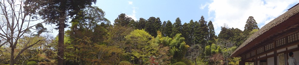d0149980_0255214.jpg