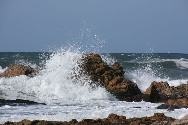 c0148781_216144.jpg