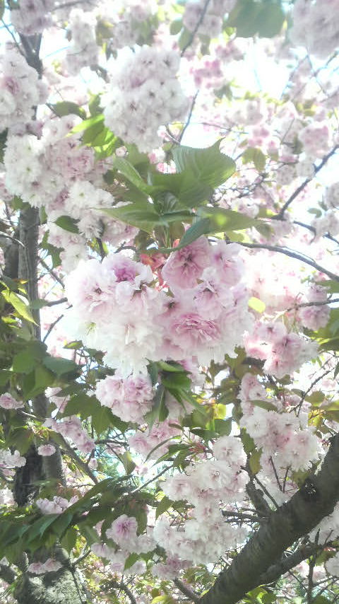 f0232181_0212287.jpg