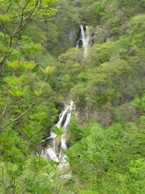 a0038882_175141.jpg
