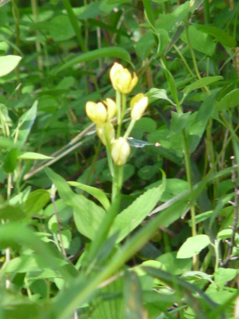e0145782_182999.jpg