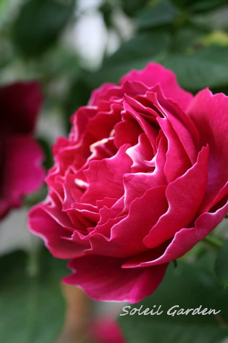 e0154682_2304493.jpg