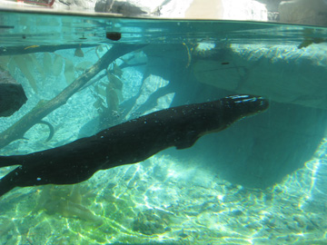 f0068883_647533.jpg