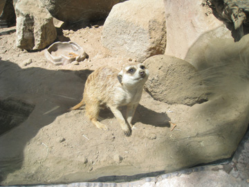 f0068883_714352.jpg