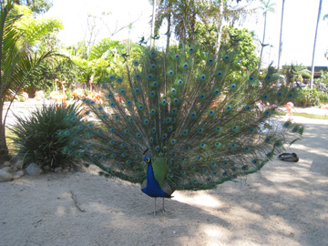 f0068883_743859.jpg
