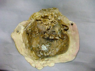 f0230584_23555628.jpg