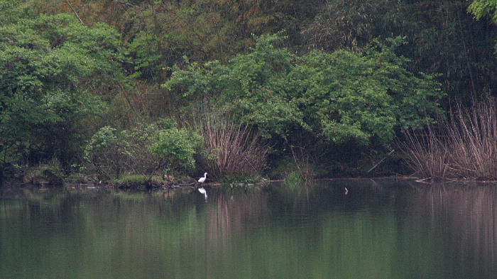 b0171185_824975.jpg