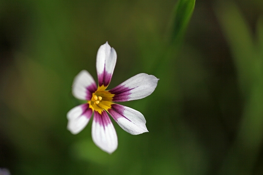 e0190885_19271692.jpg