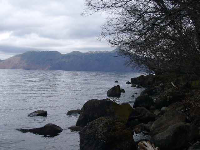 a0118989_2294480.jpg