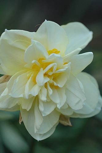 c0026690_20365134.jpg