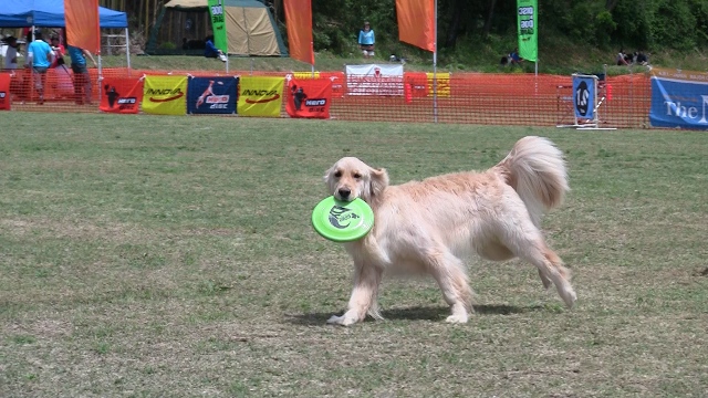 f0054290_23351499.jpg