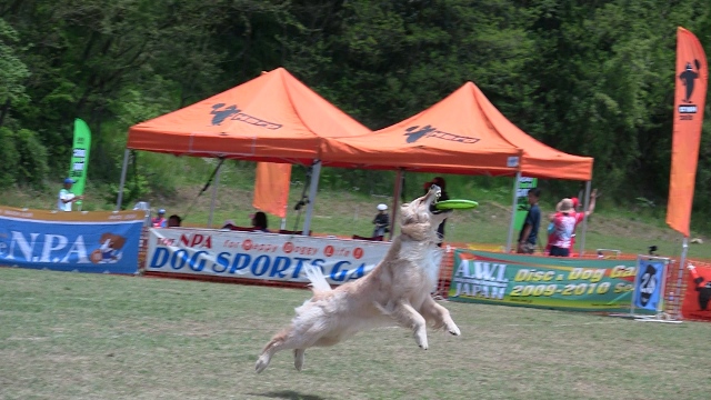 f0054290_23383678.jpg