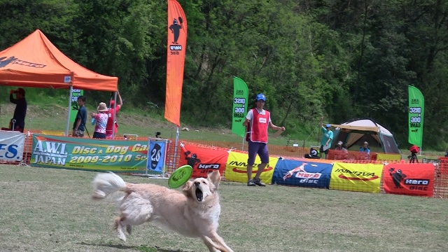 f0054290_23391042.jpg