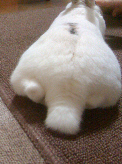 f0201191_012639.jpg
