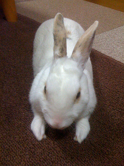 f0201191_022459.jpg