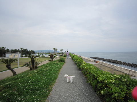 b0104592_14203029.jpg