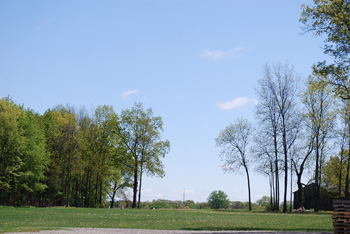 f0199394_8403135.jpg