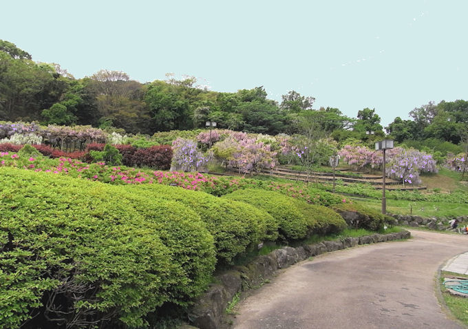 c0061695_23402045.jpg