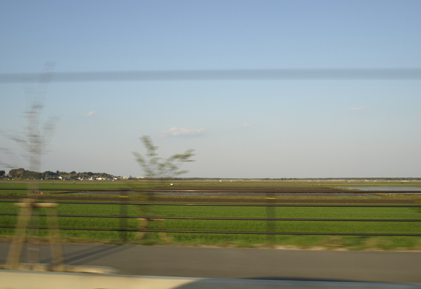 b0075797_3341870.jpg