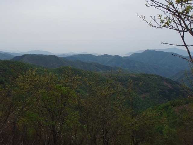 b0039898_1713229.jpg