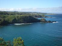 c0146598_0321297.jpg
