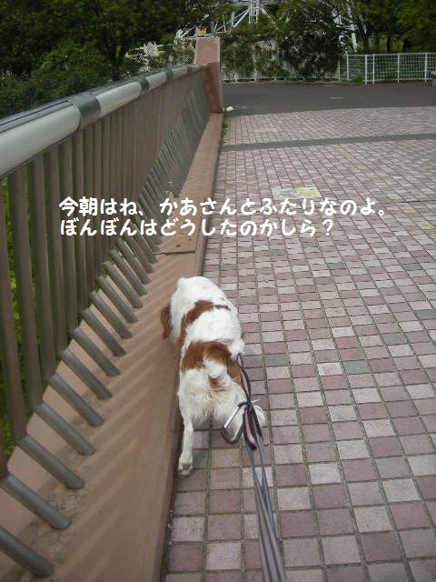 e0130299_2138289.jpg