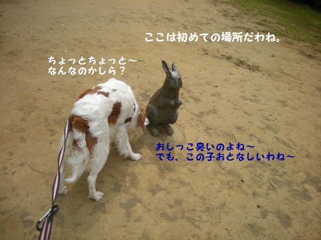 e0130299_21385541.jpg