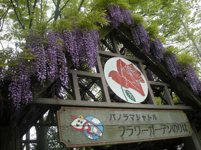 e0130299_2146370.jpg