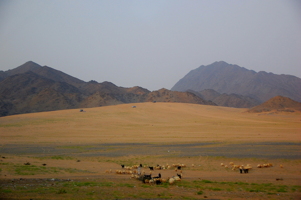 c0072801_1112986.jpg