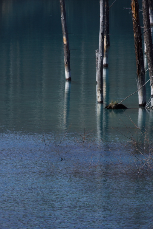 f0002701_21274859.jpg