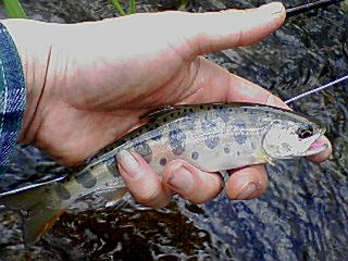 f0164503_1915959.jpg