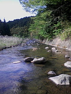 f0164503_1935413.jpg
