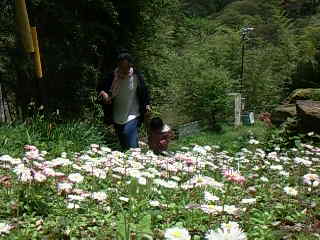 c0126205_1855661.jpg