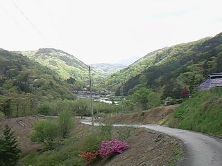 c0126205_1855691.jpg