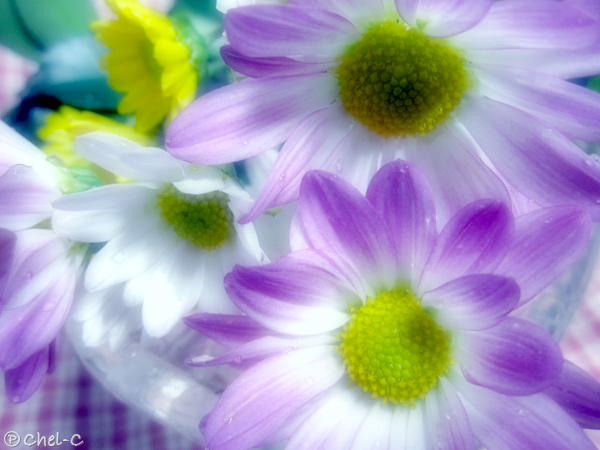 a0154706_2235960.jpg