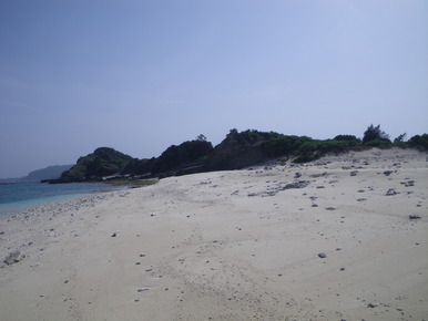 b0089616_265318.jpg