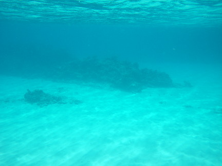 b0089616_28621.jpg