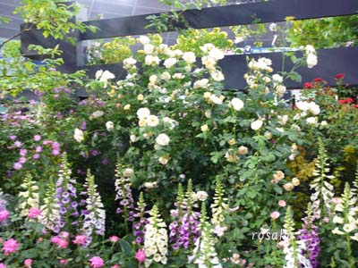f0059818_23233814.jpg