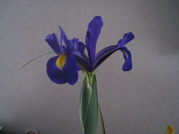 c0197220_15272580.jpg