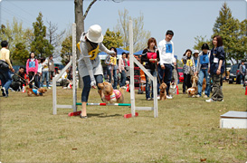 b0077721_2319467.jpg