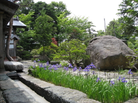 b0147224_1333318.jpg