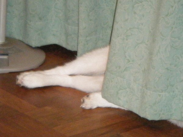 e0024126_20321123.jpg