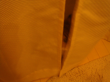 e0157129_2052664.jpg
