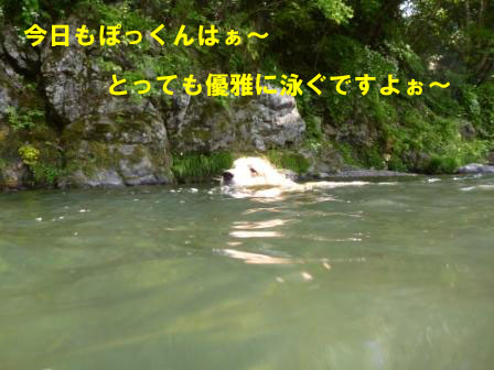 f0176830_19332714.jpg