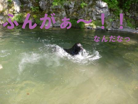f0176830_1939351.jpg