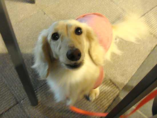 c0117831_2314579.jpg