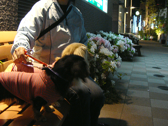 c0117831_2322689.jpg